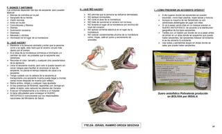 PAU OROZA Cartilla de Instrucción.pdf