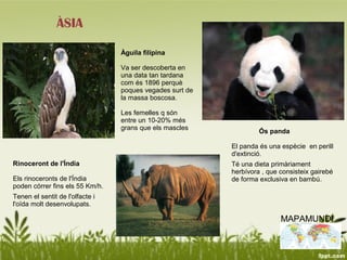 ÀSIA

                                 Àguila filipina

                                 Va ser descoberta en
                                 una data tan tardana
                                 com és 1896 perquè
                                 poques vegades surt de
                                 la massa boscosa.

                                 Les femelles q són
                                 entre un 10-20% més
                                 grans que els mascles
                                                                   Ós panda

                                                          El panda és una espècie en perill
                                                          d'extinció.
Rinoceront de l'Índia                                     Té una dieta primàriament
                                                          herbívora , que consisteix gairebé
Els rinoceronts de l'Índia                                de forma exclusiva en bambú.
poden córrer fins els 55 Km/h.
Tenen el sentit de l'olfacte i
l'oïda molt desenvolupats.

                                                                          MAPAMUNDI
 