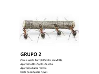 GRUPO 2
Caren Josefa Barreti Padilha da Motta
Aparecida Dos Santos Tesolin
Aparecida Lucia Feitosa
Carla Roberta das Neves
 