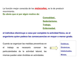 Es obvio que si por algún motivo de:
Comodidad..
Sedentarismo.
Trabajo.
Enfermedad.
el individuo disminuye o cesa por completo la actividad física, es el
organismo quien padece las consecuencias en mayor o menor grado.
La función mejor conocida de los músculos, es la de producir
movimiento.
Cuando se organizan las medidas preventivas en
el trabajo es necesario conocer las
particularidades de la actividad laboral, las
mismas pueden estar divididas en actividades.
Estáticas.
Dinámicas.
Intelectuales.
Mixtas.
 
