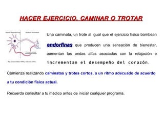Comienza realizando caminatas y trotes cortos, a un ritmo adecuado de acuerdo
a tu condición física actual.
Recuerda consultar a tu médico antes de iniciar cualquier programa.
Una caminata, un trote al igual que el ejercicio físico bombean
endorfinasendorfinas que producen una sensación de bienestar,
aumentan las ondas alfas asociadas con la relajación e
incrementan el desempeño del corazón.
HACER EJERCICIO, CAMINAR O TROTARHACER EJERCICIO, CAMINAR O TROTAR
 
