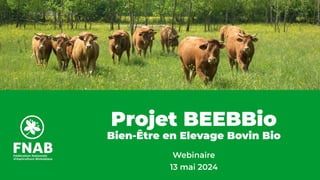 Projet BEEBBio
Bien-Être en Elevage Bovin Bio
Webinaire
13 mai 2024
 
