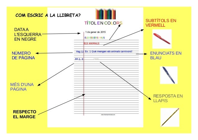 Webinar pauta plana