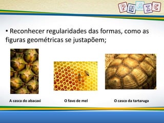 • Reconhecer regularidades das formas, como as 
figuras geométricas se justapõem; 
A casca do abacaxi O favo de mel O casco da tartaruga 
 