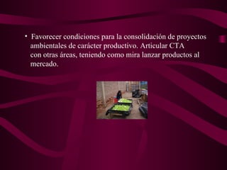 Favorecer condiciones para la consolidación de proyectos  ambientales de carácter productivo. Articular CTA con otras áreas, teniendo como mira lanzar productos al  mercado.  