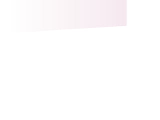 Pautas para el trabajo.