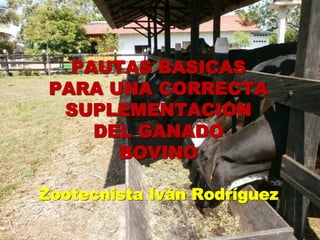 PAUTAS BASICAS
PARA UNA CORRECTA
SUPLEMENTACION
DEL GANADO
BOVINO
Zootecnista Iván Rodríguez
 