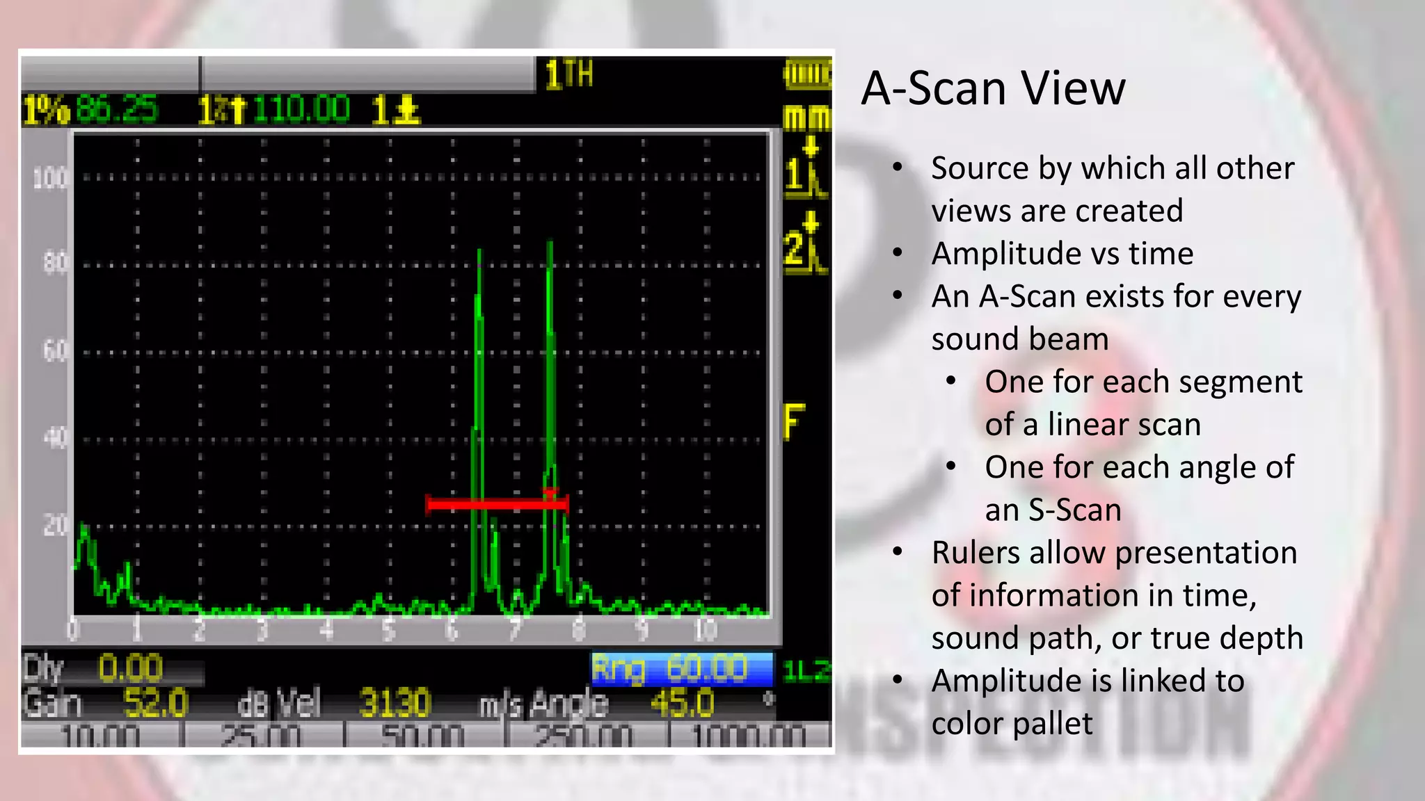 A-Scan View
• Source by which all other
views are created
• Amplitude vs time
• An A-Scan exists for every
sound beam
• One for each segment
of a linear scan
• One for each angle of
an S-Scan
• Rulers allow presentation
of information in time,
sound path, or true depth
• Amplitude is linked to
color pallet
 