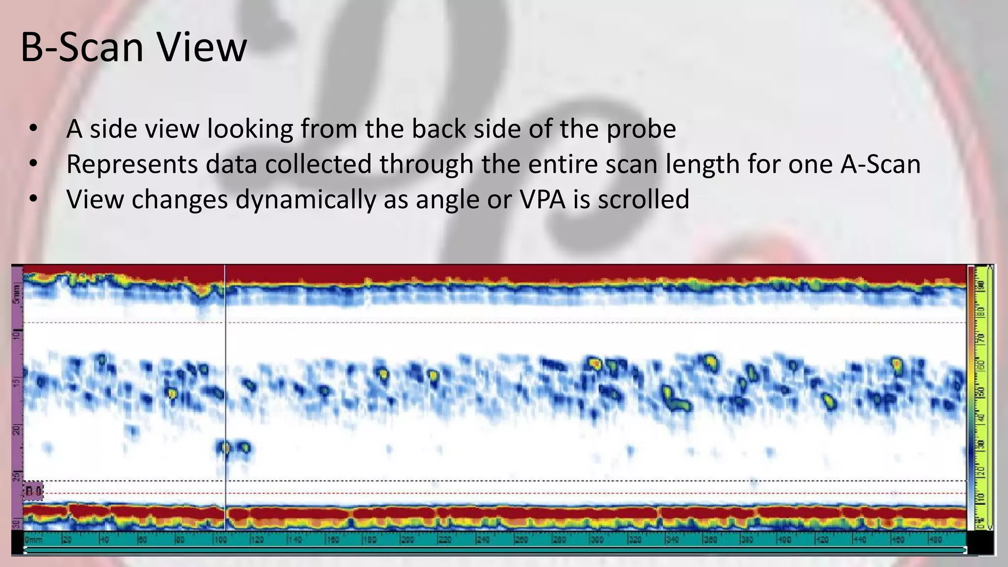 B-Scan View
• A side view looking from the back side of the probe
• Represents data collected through the entire scan length for one A-Scan
• View changes dynamically as angle or VPA is scrolled
 
