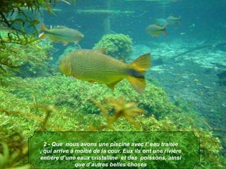 2 - Que  nous avons une piscine avec l’ eau traitée , qui arrive à moitié de la cour. Eux ils ont une rivière entière d’une eaux cristalline  et des  poissons, ainsi que d’autres belles choses 