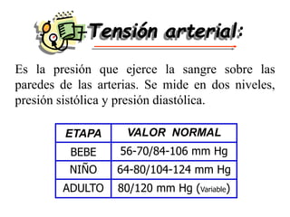 Es la presión que ejerce la sangre sobre las
paredes de las arterias. Se mide en dos niveles,
presión sistólica y presión diastólica.
ETAPA VALOR NORMAL
BEBE 56-70/84-106 mm Hg
NIÑO 64-80/104-124 mm Hg
ADULTO 80/120 mm Hg (Variable)
Tensión arterial:
 