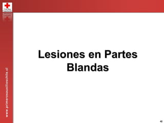 4242
Lesiones en Partes
Blandas
www.primerosauxilioschile.cl
 