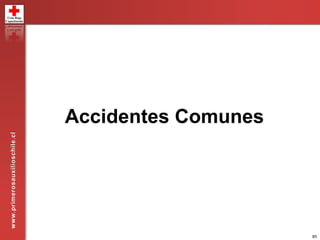 85
Accidentes Comunes
www.primerosauxilioschile.cl
 
