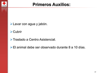 87
Lavar con agua y jabón.
Cubrir
Traslado a Centro Asistencial.
El animal debe ser observado durante 8 a 10 días.
Primeros Auxilios:
 
