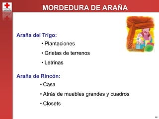 88
MORDEDURA DE ARAÑA
Araña del Trigo:
• Plantaciones
• Grietas de terrenos
• Letrinas
Araña de Rincón:
• Casa
• Atrás de muebles grandes y cuadros
• Closets
 