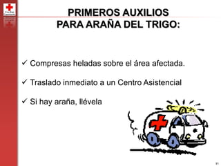 91
PRIMEROS AUXILIOS
PARA ARAÑA DEL TRIGO:
 Compresas heladas sobre el área afectada.
 Traslado inmediato a un Centro Asistencial
 Si hay araña, llévela
 