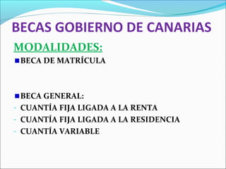 BECAS GOBIERNO DE CANARIAS
MODALIDADES:
BECA DE MATRÍCULA
BECA GENERAL:
- CUANTÍA FIJA LIGADA A LA RENTA
- CUANTÍA FIJA LIGADA A LA RESIDENCIA
- CUANTÍA VARIABLE
 