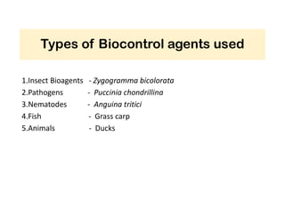 Types Bio Control Insects Terrestrial weeds and Biocontrol agents. | PDF
