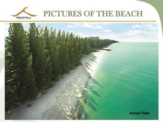 PICTURES OF THE BEACH 
Actual View  