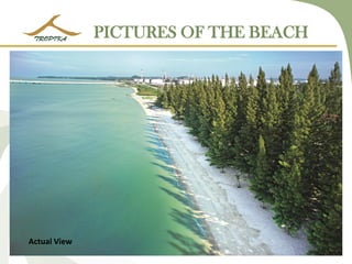 PICTURES OF THE BEACH 
Actual View Actual View  