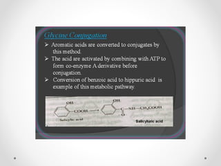 Bioaccumulation and biotransformation