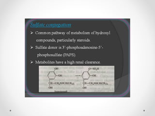 Bioaccumulation and biotransformation