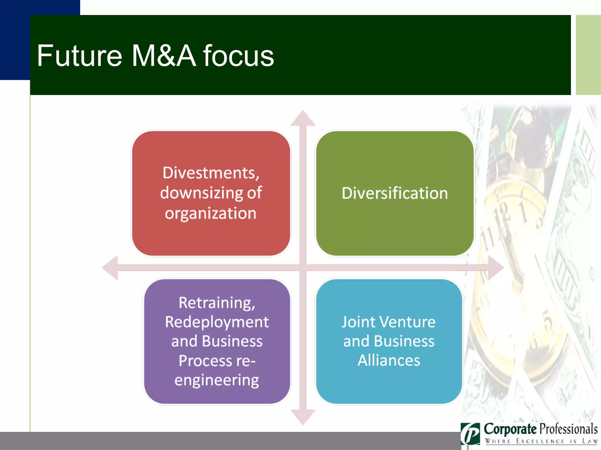 Future M&A focus 