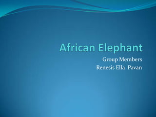 Group Members
Renesis Ella Pavan
 