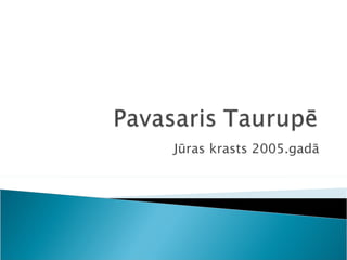 Jūras krasts 2005.gadā 