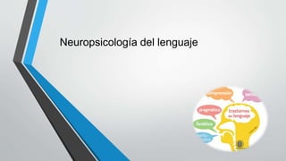 Neuropsicología del lenguaje
 