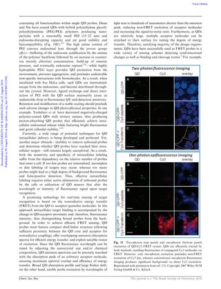 Chem. Soc. Rev. This journal is c The Royal Society of Chemistry 2010
containing all functionalities within single QD probes, Duan
and Nie have coated QDs with hybrid poly(ethylene glycol)/
polyethylenimine (PEG/PEI) polymers producing nano-
particles with a reasonably small HD (15–22 nm) and
endosome-disrupting capacity and yet good stability and
biocompatibility (Fig. 10F).117
The high amine content of
PEI conveys endosomal lysis through the proton sponge
eﬀect—buﬀering of the endosome acidiﬁcation by the amines
of the polymer backbone followed by an increase in counter-
ion (mostly chlorine) concentration, build-up of osmotic
pressure, and eventually endosome rupture118
—while highly
hydrophilic PEG layer provides QD protection from the
environment, prevents aggregation, and precludes undesirable
non-speciﬁc interactions with biomolecules. As a result, when
incubated with live HeLa cells, such QDs are internalized,
escape from the endosomes, and become distributed through-
out the cytosol. However, ligand exchange and direct inter-
action of PEI with the QD surface necessarily cause an
undesirable drop in ﬂuorescence QY and detection sensitivity.
Retention and modiﬁcation of a stable coating should preclude
such adverse changes in QD photo-physical properties. In one
example, Yezhelyev et al. have decorated negatively-charged
polymer-coated QDs with tertiary amines, thus producing
proton-absorbing QD probes that eﬃciently achieve intra-
cellular endosomal release while featuring bright ﬂuorescence
and good colloidal stability.119
Currently, a wide range of potential techniques for QD
intracellular delivery is being developed and perfected. Yet,
another major obstacle—inability to remove unbound probes
and determine whether QD probes have reached their intra-
cellular targets—still remains largely unexplored. As a result,
both the sensitivity and speciﬁcity of intracellular labeling
suﬀer from the dependency on the relative number of probes
that enter a cell. If too few probes are internalized, incomplete
or dim labeling of targets may occur; whereas too many
probes might lead to a high degree of background ﬂuorescence
and false-positive detection. Thus, eﬀective intracellular
labeling requires either active elimination of unbound probes
by the cells or utilization of QD sensors that alter the
wavelength or intensity of ﬂuorescence signal upon target
recognition.
A promising technology for real-time sensing of target
recognition is based on the nonradiative energy transfer
(FRET) from the QD to acceptor/quencher molecules. In this
approach intracellular target binding is accompanied by the
change in QD-acceptor proximity and, therefore, ﬂuorescence
intensity, thus distinguishing bound probes from the back-
ground. In order to achieve eﬃcient FRET sensing, QD
probes must feature compact shell/linker structure (allowing
suﬃcient proximity between the QD core and acceptor for
nonradiative coupling), oﬀer overlapping emission/absorption
spectra for eﬃcient energy transfer, and exploit suitable routes
of excitation. Since the QD ﬂuorescence wavelength can be
tuned by adjusting the nanocrystal size and/or chemical
composition, QD emission spectrum can be precisely matched
with the absorption peak of an arbitrary acceptor molecule,
ensuring maximum spectral overlap and eﬃciency of energy
transfer. Broad QD absorption proﬁle and large Stokes shift,
on the other hand, enable probe excitation by wavelengths of
light tens to hundreds of nanometers shorter than the emission
peak, reducing non-FRET excitation of acceptor molecules
and increasing the signal-to-noise ratio. Furthermore, as QDs
are relatively large, multiple acceptor molecules can be
attached to their surface for tuning the degree of energy
transfer. Therefore, satisfying majority of the design require-
ments, QDs have been successfully used as FRET probes in a
wide variety of sensing schemes detecting conformational
changes as well as binding and cleavage events.5
For example,
Fig. 11 Two-photon (top panel) and one-photon (bottom panel)
excitation of QD-Cy3 FRET system. QDs are eﬃciently excited by
both methods, enabling ﬂuorescence of conjugated Cy3 molecules via
FRET. However, only two-photon excitation precludes non-FRET
excitation of Cy3 dye, whereas conventional one-photon ﬂuorescence
imaging produces signiﬁcant background via direct Cy3 excitation.
Reproduced with permission from ref. 121. Copyright 2007 Wiley-VCH
Verlag GmbH & Co. KGaA.
DownloadedbyUNIVERSITYOFWASHINGTONon22August2010
Publishedon09August2010onhttp://pubs.rsc.org|doi:10.1039/B915139G
View Online
 