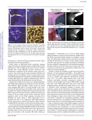 Chem. Soc. Rev. This journal is c The Royal Society of Chemistry 2010
monitored as a measure of disease-associated vascular injury
and blood-brain barrier breakdown.
Initial studies on QD-based blood vasculature imaging
outline the numerous beneﬁcial features of QD probes for this
application as well as emphasize the urge for novel ‘‘stealth’’
coatings that would eﬃciently prevent interaction with
biomolecules, recognition by the immune system, and extra-
vasation, thus improving the probe circulation half-life and
imaging accuracy. In addition, future coatings might feature
controlled biodegradation functionality, enabling disintegration
of bulky QD probes into smaller components that could be
safely eliminated from the bloodstream via renal ﬁltration.
Engineering of QD contrast agents for lymphangiography
and lymph node mapping is governed by less strict and some-
what diﬀerent design principles. Unlike probes for blood
vessel imaging, QDs need to be small enough to get trans-
ported from interstitial space into lymph vessels, and yet large
enough to be trapped in lymph nodes (in general particles with
HD 5–50 nm are retained). However, neither the particle size
(within 20–50 nm range) nor the surface charge has shown
signiﬁcant eﬀect on the SLN mapping, providing more
ﬂexibility for probe design.150
More importantly, this is
probably the only in vivo application where QD long-term
toxicity and excretion routes do not present a major concern,
as labeled SLNs and tissues are often removed during surgery.
In an early demonstration of the clinical potential for real-
time intraoperative imaging, NIR-QDs (emitting at 840–860 nm)
coated with oligomeric phosphine have been injected intra-
dermally either into the paws of mice or into the thighs of
pigs and monitored with combined IR/visible reﬂectance
videography.151
Intermediate size (15–20 nm HD) enables
eﬃcient lymphatic transport and accumulation of QDs within
the SLNs, preventing further leakage to lymphatic system
(Fig. 14). Importantly, labeled tissue can be clearly visualized
through the skin before an incision is made, during surgery,
and after node resection. In a follow-up study this technique
has been utilized for mapping SLNs and identifying lymphatic
drainage pathways from the lung tissue in pigs with 100%
accuracy (as assessed by the conventional isosulfan blue and
radioactive isotope labeling).152
Aiming to image the lymphatic system beyond the SLNs,
Zimmer et al. have employed small (HD o 10 nm) QDs with
tunable emission from 694 to 812 nm for sequential mapping
of up to 5 lymph nodes following subcutaneous injection
(Fig. 15).153
To achieve NIR emission from such small
particles InAs/ZnSe core/shell composition (instead of
common Cd-based QDs) and compact DHLA-PEG coating
have been used. While decoration with short 8-unit PEG
molecules increases the QD size in buﬀer (from 5.3 to 8.7 nm),
it eﬃciently resists non-speciﬁc binding of proteins, thus
retaining compact probe dimensions in biological environ-
ment. Labeling of distant lymph nodes beyond SLNs has also
been observed for much larger polymer-coated QDs following
direct injection into tumors in live mice, yet the mechanism has
been attributed to bypass routes rather than to QD escape
from SLNs.150
Recently, the multiplexing capability of QDs
has been exploited for in vivo imaging of 5 diﬀerent lymphatic
basins in mice (Fig. 16). Following intracutaneous injection of
5 types of polymer-coated carboxy-QDs ranging in emission
wavelength from 565 to 800 nm (HD 15–19 nm) into the paws,
ears and chin of mice, Kobayashi et al. have monitored the
transport of QDs through lymphatic networks and accumula-
tion in SLNs.154
Further passage of QD probes to secondary
draining lymph nodes was signiﬁcantly inhibited, possibly due
Fig. 13 In vivo imaging of blood vasculature with QDs. Large QDs
remain within the blood vessels providing good image contrast (A),
whereas FITC-labeled dextran quickly extravasates creating high
background (B). Two-photon microscopy enables deeper-tissue
imaging with QDs, highlighting not only the superﬁcial vasculature
(C), but also capillary network up to 250 mm deep within the tissue
(D). Reprinted from ref. 147 with permission from AAAS. Copyright
(2003).
Fig. 14 Sentinel lymph node mapping with NIR QDs. Intradermally
injected QDs eﬃciently accumulate in SLN, enabling SLN visualiza-
tion through the skin and image-guided lymph node resection.
Reprinted by permission from Macmillan Publishers Ltd.,151
copyright
(2004).
DownloadedbyUNIVERSITYOFWASHINGTONon22August2010
Publishedon09August2010onhttp://pubs.rsc.org|doi:10.1039/B915139G
View Online
 