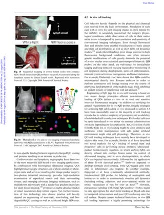 This journal is c The Royal Society of Chemistry 2010 Chem. Soc. Rev.
to non-speciﬁc binding between negatively charged QD coating
and proteins resulting in an increase in probe size.
Cardiovascular and lymphatic angiography have been two
of the most successful QD-based in vivo imaging applications.
In combination with ﬂuorescence reﬂectance imaging, QDs
highlight macroscopic structures on a whole-animal or whole-
organ scale and serve as visual tags for image-guided surgery;
two-photon intravital microscopy provides high-resolution
examination of superﬁcial vessels and their surrounding
tissues; and emerging advanced imaging techniques, such as
multiphoton microscopy with a needle-like gradient index lens
for deep-tissue imaging,155
promise to enable detailed studies
of intact vasculature deep within organs. Yet, further transla-
tion of this technology into clinical practice will heavily
depend on engineering of non-toxic, non-fouling, and bio-
degradable QD coatings as well as stable and bright QD cores.
4.3 In vivo cell tracking
Cell behavior heavily depends on the physical and chemical
cues received from the local environment. Simulation of such
cues with in vitro live-cell imaging studies is often limited by
the inability to accurately reconstruct the complex physio-
logical conditions, while observation of cells in their native
niche in vivo is hampered by poor resolution and sensitivity of
conventional imaging techniques. Even though ﬂuorescent
dyes and proteins have enabled visualization of static cancer
and stem cell distributions as well as short-term cell dynamics
studies,156
quick photobleaching, poor image contrast in high
ﬂuorescence background conditions, and often intrusive
genetic modiﬁcations of cells greatly diminish the potential
of in vivo studies over extended spatiotemporal intervals. QD
probes, on the other hand, are well-suited for intracellular
tagging and long-term cell tracking required for monitoring of
cell migration during development, stem cell diﬀerentiation,
immune system activation, oncogenesis, and tumor metastasis.
For example, Dubertret et al. have shown that QDs could be
microinjected directly into Xenopus embryos in order to
perform continuous cell lineage tracing over the course of
embryonic development up to the tadpole stage, while exhibiting
no evident toxicity or interference with cell division.70
Engineering of QD tags for in vivo cell tracking is based on
two major design principles—eﬃcient non-intrusive cell
loading of QDs (either ex vivo or in vivo) and sensitive
intravital ﬂuorescence imaging—in addition to satisfying the
general requirements for in vivo QD probes. Speciﬁc strategies
for achieving QD cell loading ex vivo discussed in section 3.3
have been successfully used in the majority of cell tracking
reports due to relative simplicity of procedure and availability
of established cell transfection techniques. Pre-loaded cells can
be easily introduced in vivo either via systemic administration
or locally depending on the application. Yet, extraction of cells
from the body for ex vivo loading might be labor-intensive and
ineﬃcient, while manipulation with cells under artiﬁcial
environment might alter cell physiology. Therefore, in vivo
QD cell loading techniques have recently been developed to
address this issue. For example, Slotkin et al. have described
two novel methods for QD loading of neural stem and
progenitor cells in developing mouse embryos: ultrasound-
guided biomicroscopy injection, in which carboxy-QDs are
directly infused into embryo brains under the control of
ultrasound imaging, and in utero electroporation, in which
QDs are injected intracerebrally, followed by the application
of three 33-volt electrical pulses.157
Embryos appeared to
develop normally post-labeling, while QD-tagged cells were
able to diﬀerentiate and migrate. In another example,
Jayagopal et al. have systemically administered antibody-
functionalized QD probes for labeling of neutrophils and
leukocytes in order to continuously visualize cell dynamics
(including rolling, adhesion, and extravasation) within the
retinal vasculature of rats for over an hour.158
However,
extracellular labeling with bulky QD-antibody probes might
be only appropriate for short-term tracking of blood cells due
to hampered extravasation and poor QD anchoring onto the
cell surface. Despite current technical limitations, in vivo QD
cell loading represents a highly promising technology for
Fig. 15 Sequential mapping of several lymph nodes with compact
QDs. Small size enables QD probes to escape SLN and travel along the
lymphatic system to distant lymph nodes. Reprinted with permission
from ref. 153. Copyright 2006 American Chemical Society.
Fig. 16 Multiplexed in vivo and ex vivo imaging of separate lymphatic
networks with QD accumulation in SLNs. Reprinted with permission
from ref. 154 Copyright 2007 American Chemical Society.
DownloadedbyUNIVERSITYOFWASHINGTONon22August2010
Publishedon09August2010onhttp://pubs.rsc.org|doi:10.1039/B915139G
View Online
 