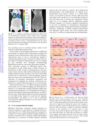 This journal is c The Royal Society of Chemistry 2010 Chem. Soc. Rev.
thus providing access to real-time dynamic studies of cell
interaction within physiological niches.
Even in light of the promising achievements in QD-based
cell tracking, the shallow depth of ﬂuorescence imaging and
signiﬁcant tissue autoﬂuorescence either limit cell tracking to
subcutaneous layers or rely on intraoperative imaging if
tracking within deeper tissues is required. To address this issue
and improve the signal-to-background ratio of in vivo imaging
So and coworkers have developed self-illuminating
QD-luciferase probes for non-invasive ﬂuorescence imaging.161
After intravenous injection of QD-loaded glioma cells,
accumulation of cells within lungs is readily observed via
ﬂuorescence of QDs excited by bioluminescence resonance
energy transfer process, while traditional ﬂuorescence spectral
imaging utilizing external excitation source fails to detect QD
emission due to attenuation of short-wavelength excitation
light and strong tissue autoﬂuorescence (Fig. 20). However,
utilization of potentially immunogenic components and
requirement for supplying the substrate coelenterazine put
limitations on utility of this technology for in vivo cell tracking.
Steady advancements in ex vivo QD cell loading, promising
initial results of in vivo QD cell tagging, and development of
sensitive in vivo ﬂuorescence imaging techniques suggest that
3-dimensional multiplexed in vivo cell tracking for the study of
dynamic cell migration phenomena might become available in
the near future. Achieving this objective will require engineering
of novel QD surface ligands for improved cell targeting,
biocompatibility, and uptake in vivo as well as employing
novel intravital imaging modalities for more sensitive deep-
tissue QD detection.
4.4 In vivo targeted molecular imaging
QD-based ﬂuorescence molecular imaging represents an
attractive technique for the detection of speciﬁc biomarker-
expressing cells in vivo. While being simple and inexpensive in
comparison to other targeted molecular imaging modalities, it
provides a powerful tool for studying complex physiological
phenomena (e.g. activation of immune response), detecting
diseased cells and tissues (e.g. tumors), and evaluating the
pharmacokinetics and biodistribution of targeted nano-
particle-based drug delivery vehicles in a whole-animal
context. As discussed in previous sections, QDs have been
successfully used as probes for in vitro molecular proﬁling of
cells and tissues and as cell tags and vasculature contrast
agents for in vivo imaging. However, QD-based targeted
molecular imaging in vivo remains a signiﬁcant challenge due
to the lack of speciﬁcity in heterogeneous physiological
conditions and pervasive foreign-particle clearance mechanisms.
Therefore, engineering of speciﬁc targeting functionalities
that eﬃciently exploit passive and active targeting path-
ways (Fig. 21), while not compromising the biocompatibility,
Fig. 20 In vivo imaging of self-illuminating QD probes. QDs excited
via bioluminescence resonance energy transfer from conjugated
luciferase are clearly visible with non-invasive whole-animal imaging (A),
whereas the signal from same probes illuminated by an external short-
wavelength excitation source is indistinguishable from the strong
tissue autoﬂuorescence (B). Reprinted by permission from Macmillan
Publishers Ltd.,161
copyright (2006).
Fig. 21 Routes for in vivo QD targeting. (A) Abnormal highly
permeable tumor blood vasculature and poor tumor lymphatic
drainage enable passive QD targeting and accumulation within the
tumor via enhanced permeability and retention eﬀect. Similar mecha-
nism can be employed for labeling the regions with damaged or
abnormal vasculature. (B) Intact endothelium represents a signiﬁcant
barrier for QD extravasation. Labeling of biomarkers speciﬁcally
expressed on the vasculature of a particular organ or tissue
(e.g. tumor site) provides an eﬃcient way of targeted in vivo imaging
with bulky QD probes. (C) When QD extravasation is possible,
active targeting of biomarkers expressed on the cell surface enables
speciﬁc labeling deep within the tissues of interest, while reducing
non-speciﬁc QD accumulation in non-targeted areas.
DownloadedbyUNIVERSITYOFWASHINGTONon22August2010
Publishedon09August2010onhttp://pubs.rsc.org|doi:10.1039/B915139G
View Online
 