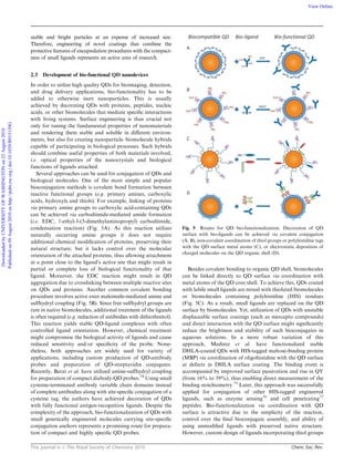 This journal is c The Royal Society of Chemistry 2010 Chem. Soc. Rev.
stable and bright particles at an expense of increased size.
Therefore, engineering of novel coatings that combine the
protective features of encapsulation procedures with the compact-
ness of small ligands represents an active area of research.
2.3 Development of bio-functional QD nanodevices
In order to utilize high quality QDs for bioimaging, detection,
and drug delivery applications, bio-functionality has to be
added to otherwise inert nanoparticles. This is usually
achieved by decorating QDs with proteins, peptides, nucleic
acids, or other biomolecules that mediate speciﬁc interactions
with living systems. Surface engineering is thus crucial not
only for tuning the fundamental properties of nanomaterials
and rendering them stable and soluble in diﬀerent environ-
ments, but also for creating nanoparticle–biomolecule hybrids
capable of participating in biological processes. Such hybrids
should combine useful properties of both materials involved,
i.e. optical properties of the nanocrystals and biological
functions of ligands attached.
Several approaches can be used for conjugation of QDs and
biological molecules. One of the most simple and popular
bioconjugation methods is covalent bond formation between
reactive functional groups (e.g. primary amines, carboxylic
acids, hydroxyls and thiols). For example, linking of proteins
via primary amine groups to carboxylic acid-containing QDs
can be achieved via carbodiimide-mediated amide formation
(i.e. EDC, 1-ethyl-3-(3-dimethylaminopropyl) carbodiimide,
condensation reaction) (Fig. 5A). As this reaction utilizes
naturally occurring amine groups it does not require
additional chemical modiﬁcation of proteins, preserving their
natural structure; but it lacks control over the molecular
orientation of the attached proteins, thus allowing attachment
at a point close to the ligand’s active site that might result in
partial or complete loss of biological functionality of that
ligand. Moreover, the EDC reaction might result in QD
aggregation due to crosslinking between multiple reactive sites
on QDs and proteins. Another common covalent bonding
procedure involves active ester maleimide-mediated amine and
sulfhydryl coupling (Fig. 5B). Since free sulfhydryl groups are
rare in native biomolecules, additional treatment of the ligands
is often required (e.g. reduction of antibodies with dithiothreitol).
This reaction yields stable QD-ligand complexes with often
controlled ligand orientation. However, chemical treatment
might compromise the biological activity of ligands and cause
reduced sensitivity and/or speciﬁcity of the probe. None-
theless, both approaches are widely used for variety of
applications, including custom production of QD-antibody
probes and preparation of QD-streptavidin conjugates.
Recently, Barat et al. have utilized amine-sulfhydryl coupling
for preparation of compact diabody-QD probes.74
Using small
cysteine-terminated antibody variable chain domains instead
of complete antibodies along with site-speciﬁc conjugation of a
cysteine tag, the authors have achieved decoration of QDs
with fully functional antigen-recognition ligands. Despite the
complexity of the approach, bio-functionalization of QDs with
small genetically engineered molecules carrying site-speciﬁc
conjugation anchors represents a promising route for prepara-
tion of compact and highly speciﬁc QD probes.
Besides covalent bonding to organic QD shell, biomolecules
can be linked directly to QD surface via coordination with
metal atoms of the QD core/shell. To achieve this, QDs coated
with labile small ligands are mixed with thiolated biomolecules
or biomolecules containing polyhistidine (HIS) residues
(Fig. 5C). As a result, small ligands are replaced on the QD
surface by biomolecules. Yet, utilization of QDs with unstable
displaceable surface coatings (such as mercapto compounds)
and direct interaction with the QD surface might signiﬁcantly
reduce the brightness and stability of such bioconjugates in
aqueous solutions. In a more robust variation of this
approach, Medintz et al. have functionalized stable
DHLA-coated QDs with HIS-tagged maltose-binding protein
(MBP) via coordination of oligohistidine with the QD surface
at defects in DHLA surface coating. The binding event is
accompanied by improved surface passivation and rise in QY
(from 16% to 39%), thus enabling direct measurement of the
binding stoichiometry.75
Later, this approach was successfully
applied for conjugation of other HIS-tagged engineered
ligands, such as enzyme sensing76
and cell penetrating77
peptides. Bio-functionalization via coordination with QD
surface is attractive due to the simplicity of the reaction,
control over the ﬁnal bioconjugate assembly, and ability of
using unmodiﬁed ligands with preserved native structure.
However, custom design of ligands incorporating thiol groups
Fig. 5 Routes for QD bio-functionalization. Decoration of QD
surface with bio-ligands can be achieved via covalent conjugation
(A, B), non-covalent coordination of thiol groups or polyhistidine tags
with the QD surface metal atoms (C), or electrostatic deposition of
charged molecules on the QD organic shell (D).
DownloadedbyUNIVERSITYOFWASHINGTONon22August2010
Publishedon09August2010onhttp://pubs.rsc.org|doi:10.1039/B915139G
View Online
 