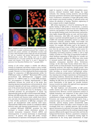 This journal is c The Royal Society of Chemistry 2010 Chem. Soc. Rev.
staining of cell surface antigens is reliable and eﬀective,
staining of cytoplasmic and nuclear markers is more variable,
resulting from the relatively large size of the probes. In another
example, Tholouli et al. have employed the biotin-streptavidin
linkage for preparation of QD-oligonucleotide probes for
FISH-based studies of mRNA.86
Biotinylated DNA probes
pre-incubated with QD-Streptavidin conjugates enable
detection of 3 mRNA targets in a 1-step FISH procedure.
Yet, pre-conjugation of multiple oligonucleotides to QDs
signiﬁcantly increases the overall size of the probe, thus
requiring specimen permeabilization with proteinase K, which
necessarily degrades cell and tissue architecture and destroys
most of the protein-based biomarkers useful for IHC studies.
Chan et al. have resolved this issue by developing a more
controlled procedure for pre-conjugation of exactly one
oligonucleotide probe per QD via biotin-streptavidin linkage.87
Starting with QD-streptavidin conjugates, excess streptavidin
sites are blocked with biocytin (water soluble biotin deriva-
tive), and only a few biotinylated oligonucleotides are allowed
to bind. Further puriﬁcation of QD-oligo conjugates with
agarose gel electrophoresis yields relatively small mono-
oligonucleotide FISH probes suitable for multiplexed mRNA
detection under mild specimen permeabilization. As a result,
a combined QD-based FISH-IHC procedure has been
developed to compare cellular distribution patterns of
vesicular monoamine transporter (Vmat2) mRNA and
immunoreactivity of tyrosine hydroxylase in dopaminergic
neurons.87
In general, with larger QD probes, stronger
permeabilization of specimens with detergents and/or enzymes
might be required to obtain suﬃcient intracellular access;
however, chemical treatment might damage the target
molecules, thus reducing staining sensitivity and providing
inaccurate quantitative information about biomarker expression
levels. Furthermore, entrapment of larger QD probes within
cells hampers post-staining washing of unbound probes and
reduces the speciﬁcity of staining. Therefore, engineering of
more compact probes is highly beneﬁcial.
QD surface engineering is critical for minimizing the non-
speciﬁc binding of QD probes to biomolecules, a common
reason of reduced staining signal-to-noise ratio and decreased
sensitivity and speciﬁcity of the target detection. Majority of
the non-speciﬁc binding results from electrostatic interactions,
when highly charged QD probes are used, and from hydro-
phobic interactions, when QDs with exposed hydrophobic
regions or partially hydrophobic ligands are used. Decoration
of QDs with uncharged hydrophilic moieties (e.g. PEG) and
zwitterionic molecules produces highly water-soluble and
stable probes while eﬃciently eliminating non-speciﬁc inter-
actions. For example, QD probes used in the majority of
published research have a layer of PEG that shields the QD
core from the environment and provides anchor points for
ligand attachment. Popularity of QD-PEG comes from the
outstanding non-fouling properties of PEG as well as high
stability of probes in a wide range of experimental conditions,
which facilitates engineering of QD probes for virtually any
application. However, addition of a PEG layer often results
in increased particle HD leading to the detrimental size-
dependent consequences described above. Zwitterionic
coatings, on the other hand, become utilized more often as
smaller probes are being developed. Featuring densely packed
alternating positively and negatively charged groups, these
coatings do not favor electrostatic or hydrophobic interactions
while providing an overall neutral well-hydrated surface.
However, zwitterionic coatings tend to show high pH-sensitivity,
thus imposing more stringent requirements on bioconjugation
and staining conditions. Alternatively, the QD surface can be
completely over-coated with large biomolecules (e.g. proteins)
shielding the QD from the environment and mimicking the
native functionality of the ligand; yet, possible dramatic
increase in probe size renders this approach most appropriate
for labeling of extracellular targets.
The high brightness and photostability of QD probes
enables sensitive and robust measurement of the biomarker
expression levels. However, accurate quantitative analysis of
multiple biomarkers and comparison of their relative levels
of expression within a single specimen further demand
standardization of image acquisition and processing algorithms.
Extraction and analysis of individual QD spectra from a
composite image can be achieved with spectral imaging.84,88
Generally, spectral imaging systems incrementally apply
narrow band-pass ﬁlters and collect a series of images for each
wavelength band over a speciﬁed spectrum, thus providing
spectral information for each pixel of an image. Deconvolution
of known emission proﬁles from the resulting composite image
separates diﬀerent probe signals from each other and from the
background ﬂuorescence. However, quantitative comparison
of diﬀerent biomarkers in multiplexed staining might be
compromised by the strong signal enhancement of larger
Fig. 6 Labeling of surface and intracellular targets with QD probes.
In single-color examples membrane-associated Her2 receptors are
detected with primary antibodies and QD-labeled secondary IgG
(A, green), while intracellular nuclear antigens (B, red) and microtubules
(C, red) are visualized with primary IgG/secondary IgG-biotin/
QD-Streptavidin cascade. Both labeling routes can be applied
simultaneously for a two-color staining (D). The nuclei are counter-
stained with Hoechst 33 342 (blue) in A and C. Reprinted by
permission from Macmillan Publishers Ltd.,53
copyright (2003).
DownloadedbyUNIVERSITYOFWASHINGTONon22August2010
Publishedon09August2010onhttp://pubs.rsc.org|doi:10.1039/B915139G
View Online
 