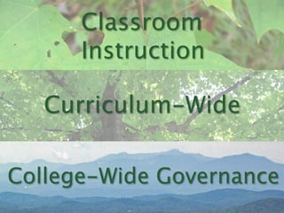 Classroom
Instruction
College-Wide Governance
Curriculum-Wide
 