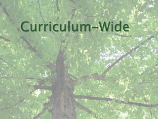 Curriculum-Wide
 