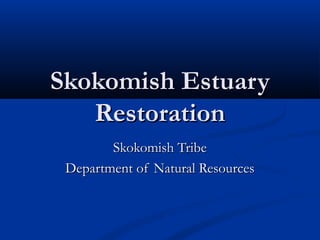 Skokomish EstuarySkokomish Estuary
RestorationRestoration
Skokomish TribeSkokomish Tribe
Department of Natural ResourcesDepartment of Natural Resources
 