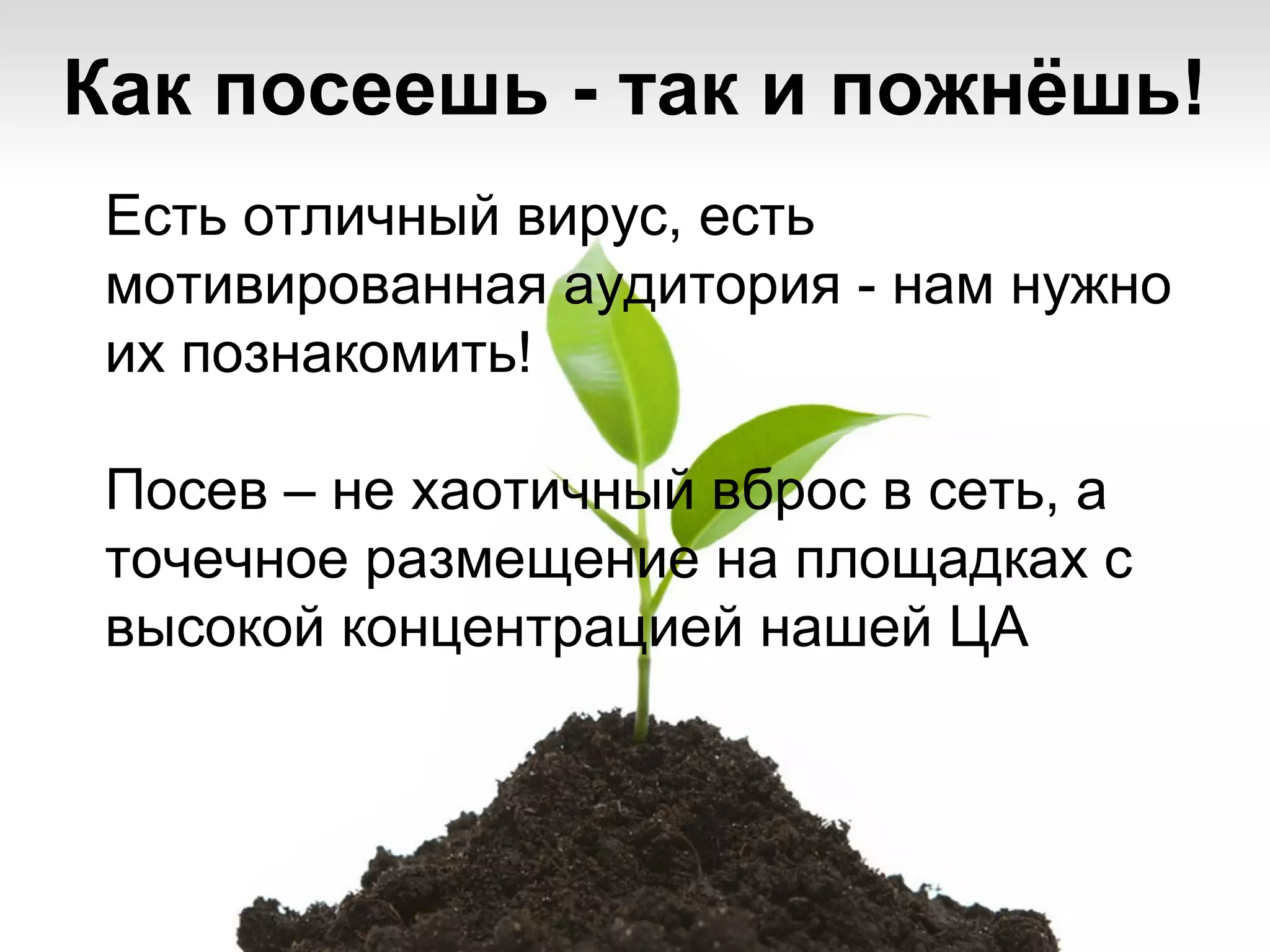 Как посеешь - так и пожнёшь!
 Есть отличный вирус, есть
 мотивированная аудитория - нам нужно
 их познакомить!

 Посев – не хаотичный вброс в сеть, а
 точечное размещение на площадках с
 высокой концентрацией нашей ЦА
 