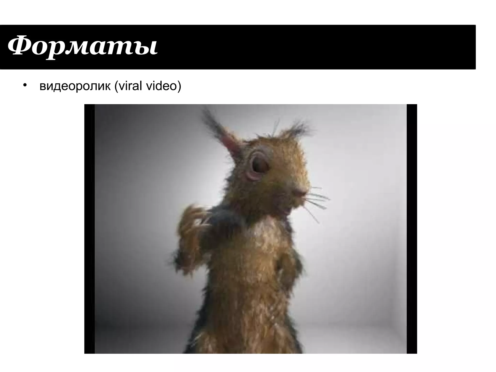 Форматы
• видеоролик (viral video)
 