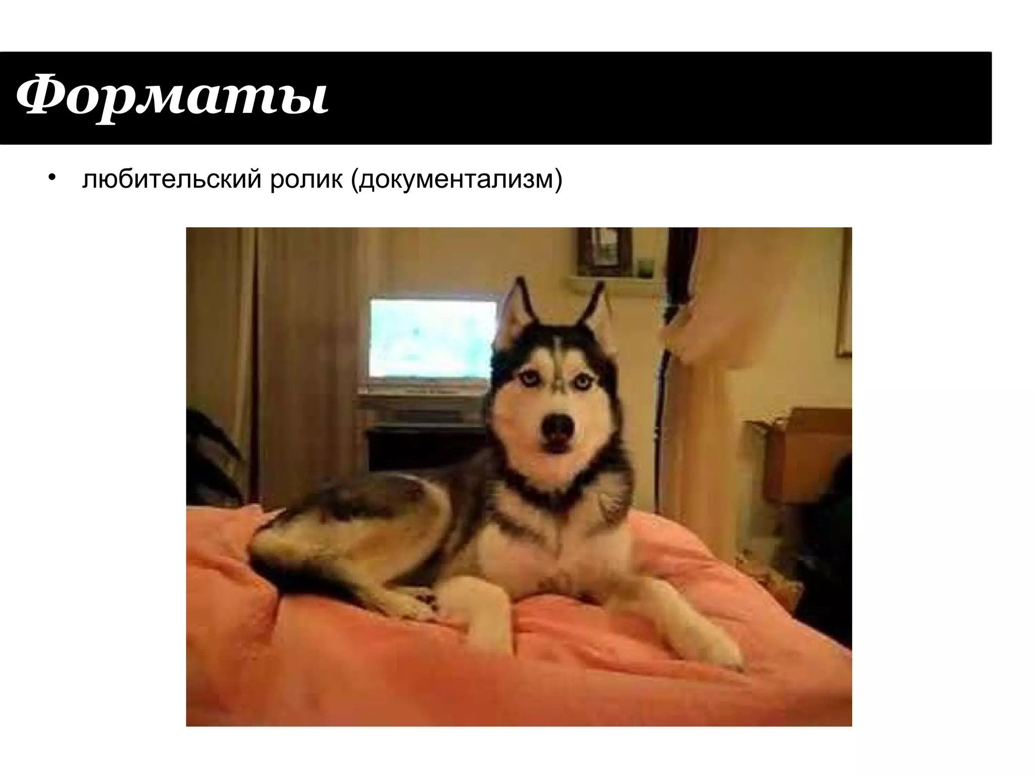 Форматы
• любительский ролик (документализм)
 