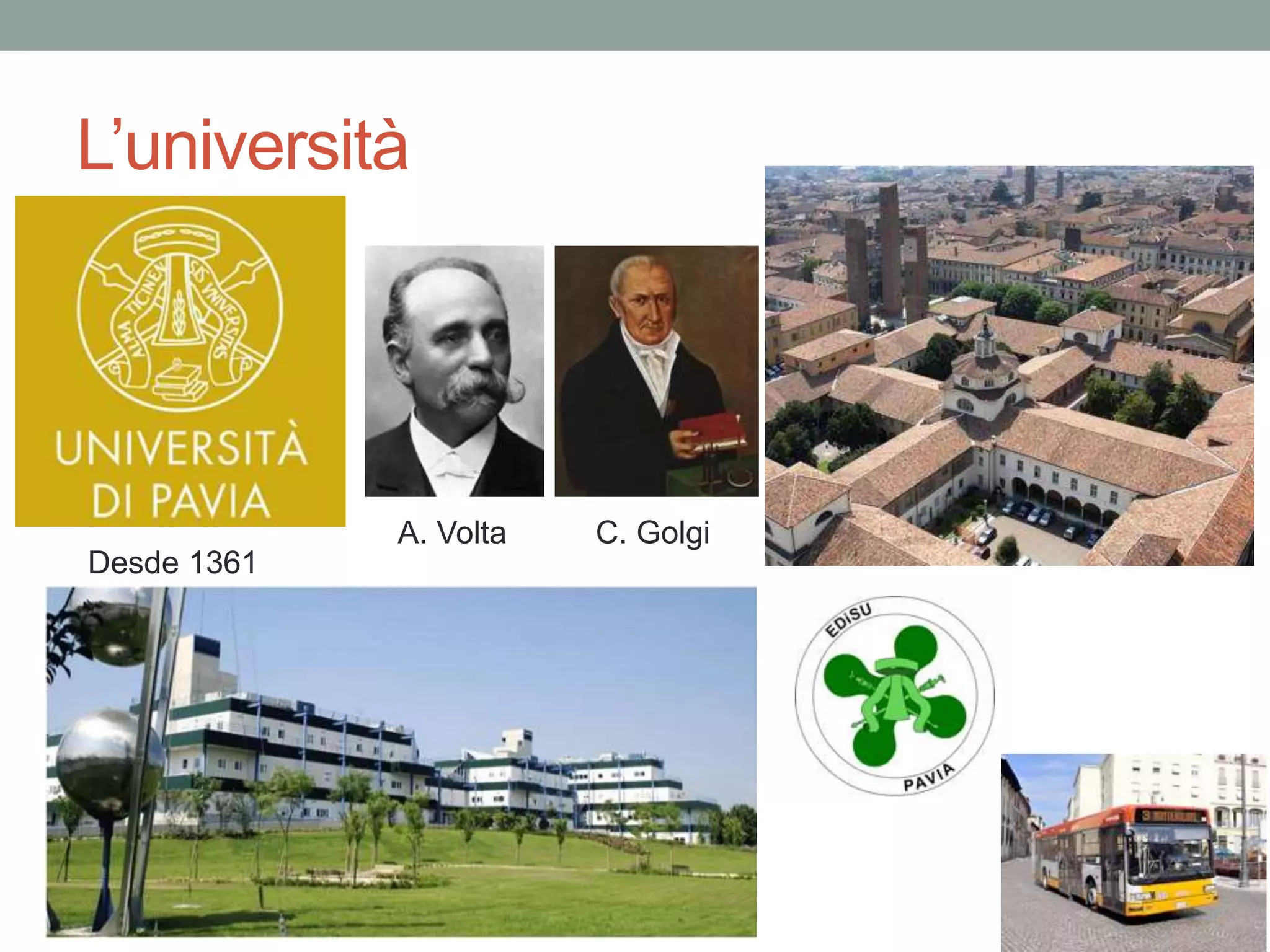 L’università
A. Volta C. Golgi
Desde 1361
