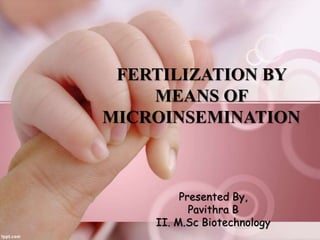 Presented By,
Pavithra B
II. M.Sc Biotechnology
FERTILIZATION BY
MEANS OF
MICROINSEMINATION
 