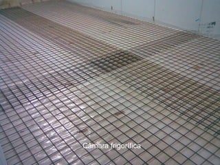 Câmara frigorífica 