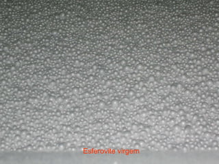 Esferovite virgem 
