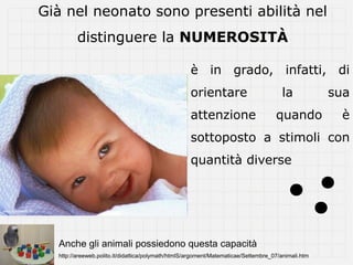 Già nel neonato sono presenti abilità nel
         distinguere la NUMEROSITÀ

                                                    è in grado, infatti, di
                                                    orientare                         la            sua
                                                    attenzione                      quando           è
                                                    sottoposto a stimoli con
                                                    quantità diverse




  Anche gli animali possiedono questa capacità
  http://areeweb.polito.it/didattica/polymath/htmlS/argoment/Matematicae/Settembre_07/animali.htm
 