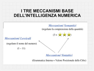I TRE MECCANISMI BASE
DELL’INTELLIGENZA NUMERICA
 