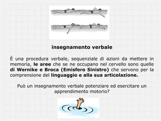 insegnamento verbale

È una procedura verbale, sequenziale di azioni da mettere in
memoria, le aree che se ne occupano nel cervello sono quelle
di Wernike e Broca (Emisfero Sinistro) che servono per la
comprensione del linguaggio e alla sua articolazione.

   Può un insegnamento verbale potenziare ed esercitare un
                  apprendimento motorio?
 