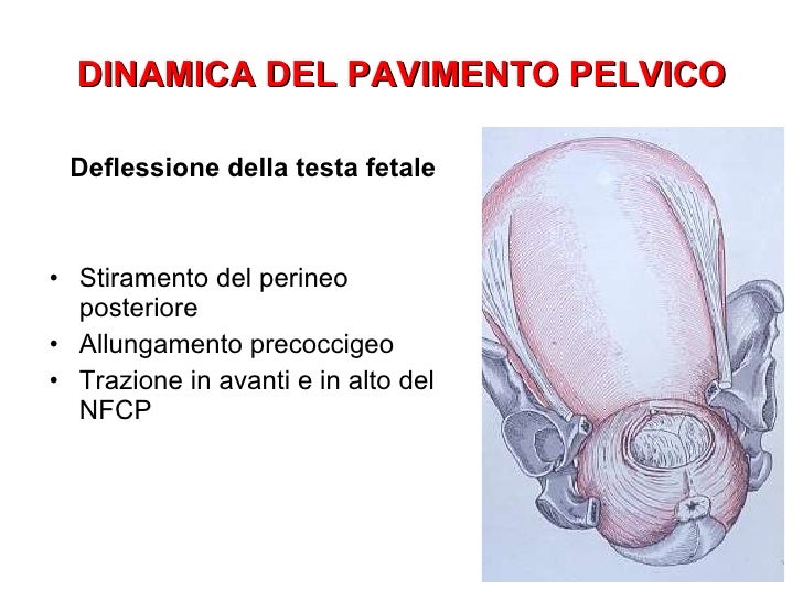 Pavimento pelvico ed evento ostetrico minini